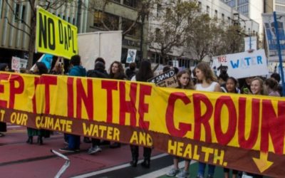 A Climate Constitution in the Courts and the Streets