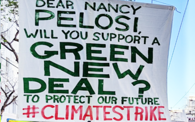 Some Tough Questions on the Green New Deal