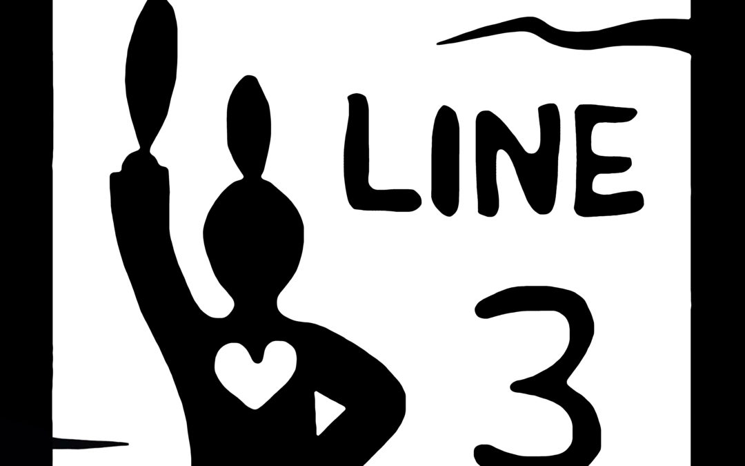 LNS Calls for Climate-Safe Infrastructure  Not Line 3 and Dakota Access Tar Sands Pipelines