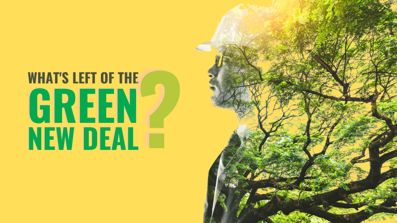 Commentary: The Green New Deal – The Current State of Play - Labor