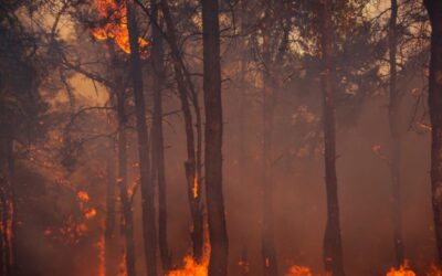 If California Politicians Won’t Support Climate Projects, Can the People Make Them Do It Anyway?