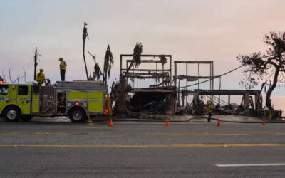 Ways to Help Workers and Communities Affected by the LA Fires