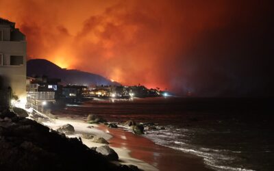 The Labor Network for Sustainability mourns the catastrophic loss of life and homes in California.