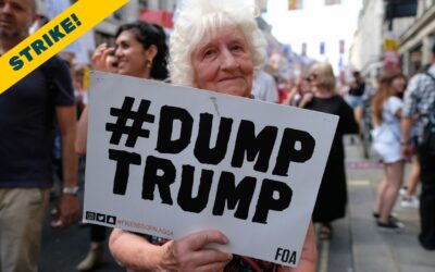 The Four Expectable Axes of MAGA Action