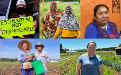 To Protect the Food Chain, Protect Immigrant Farm Workers